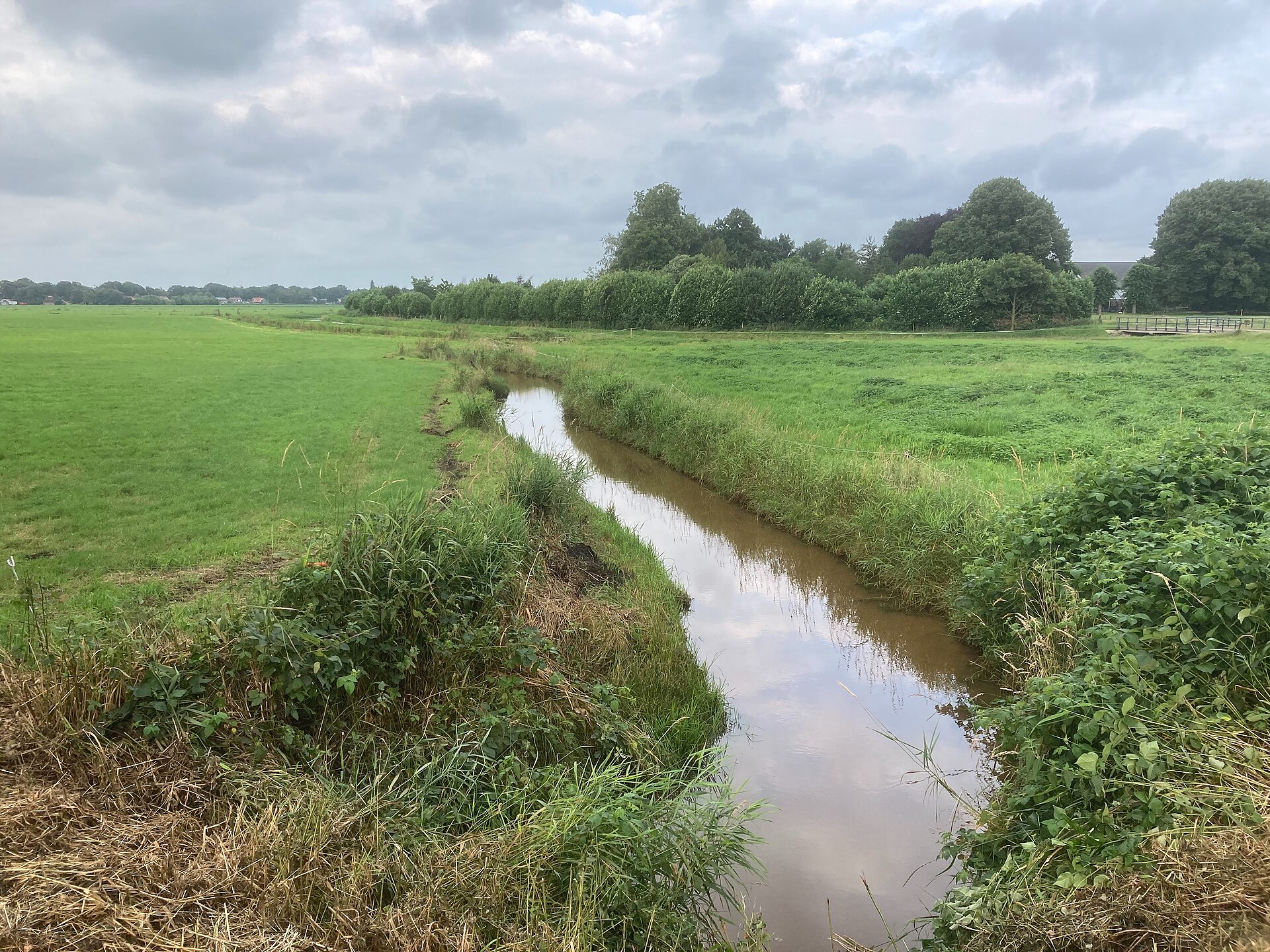 Het meanderende riviertje de Reest in het groene Reestdal bij Balkbrug